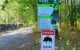 Spotkanie otwarte z mieszkańcami &ndash; zarządzanie obecnością dzikich zwierząt w Milan&oacute;wku 2