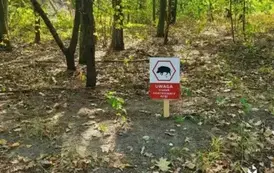 Spotkanie otwarte z mieszkańcami &ndash; zarządzanie obecnością dzikich zwierząt w Milan&oacute;wku 3