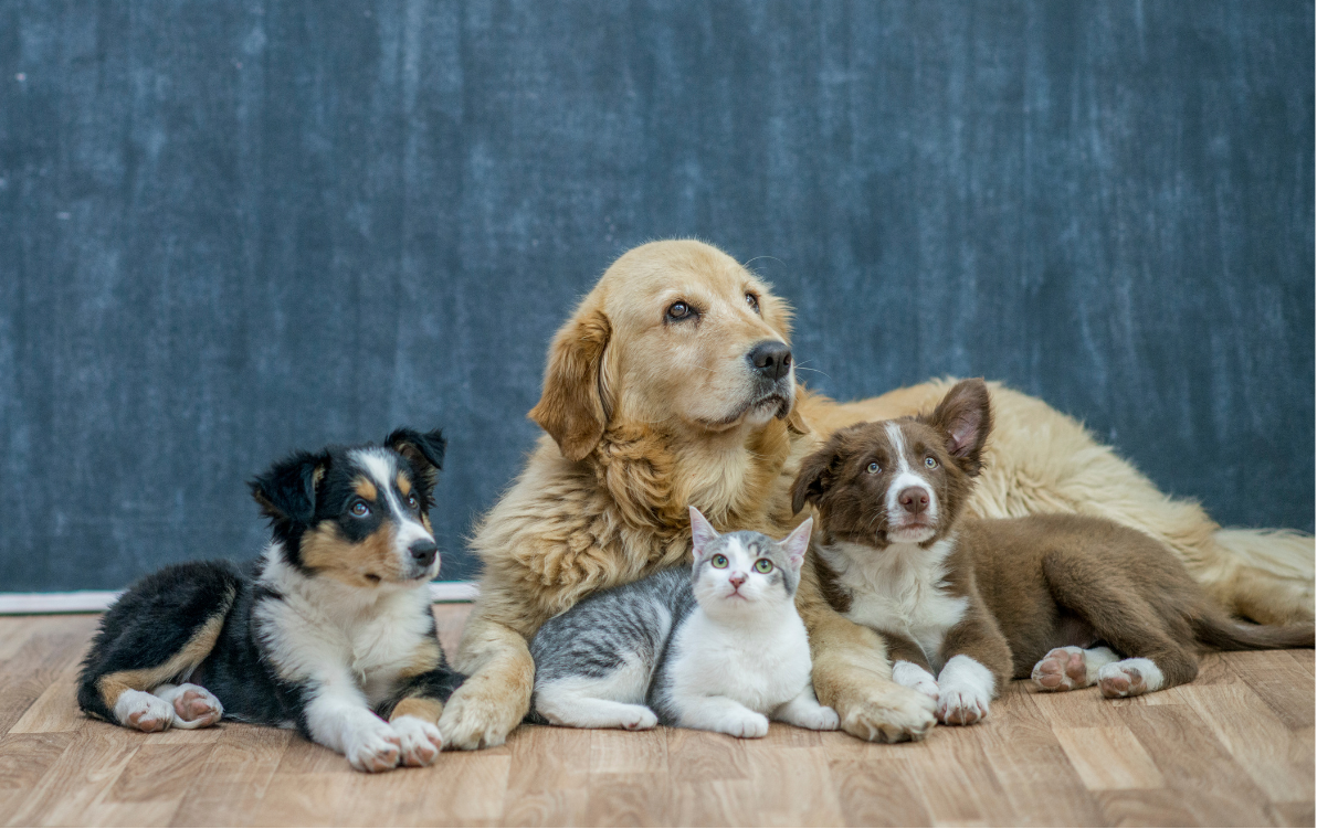 Grafiki_na_nową_strone_www_(35)