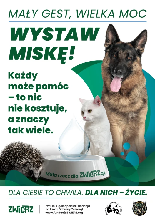 plakat