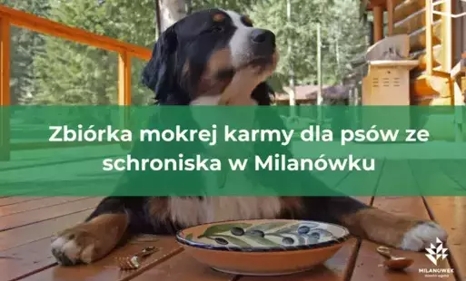 zdjęcie przedstawia informację pod nazwą: zbiórka mokrej karmy dla psów z milanowkiego schroniska