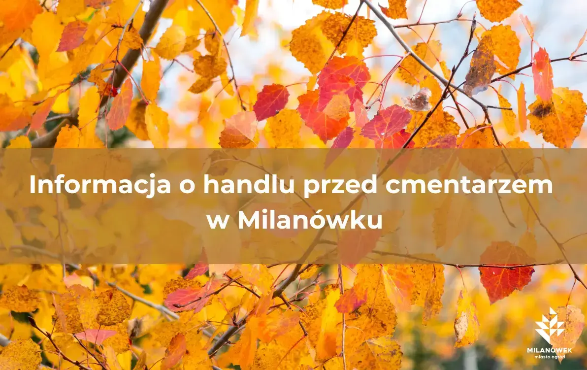 Milanówek przyjmuje wnioski o miejsca handlowe przed cmentarzem – ilustracja