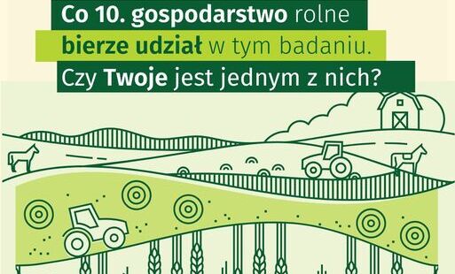 głony urząd statystyczny 