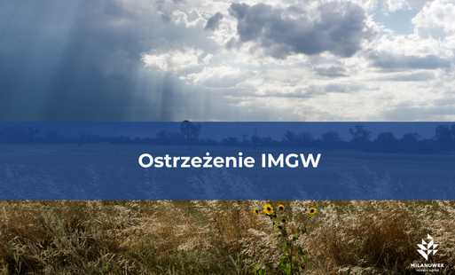 słońce za chmurami 