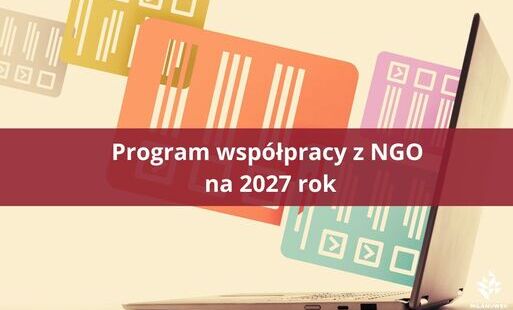grafika dotycząca ankiety dla NGO