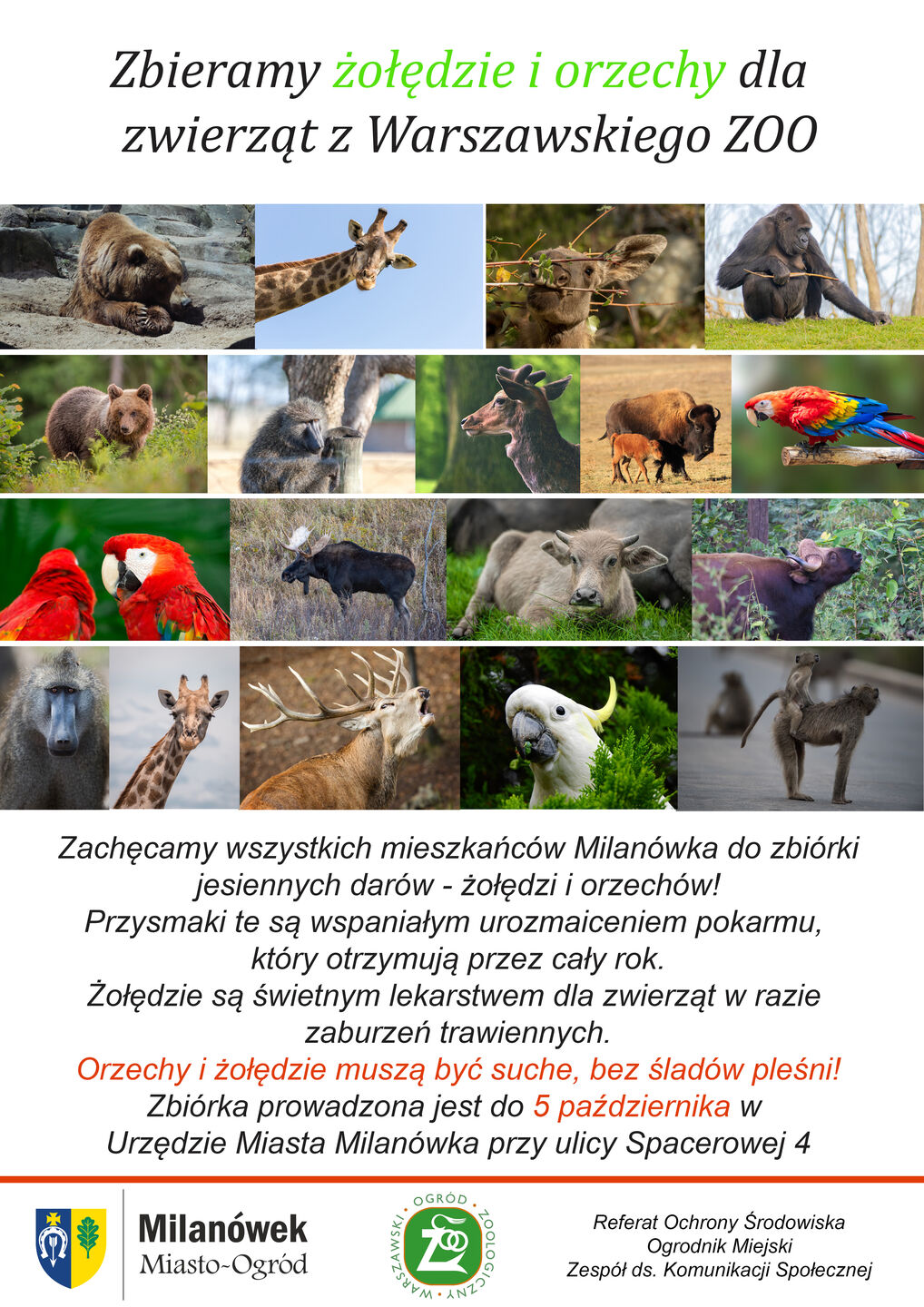 Zbiórka przysmaków dla zwierzaków z ZOO - plakat